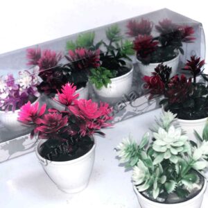 گل مینیاتوری