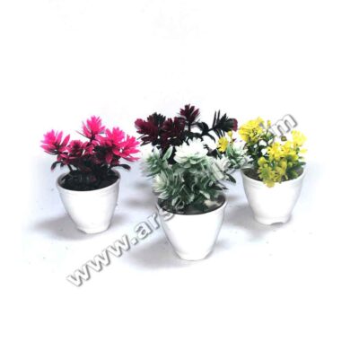 گل مینیاتوری