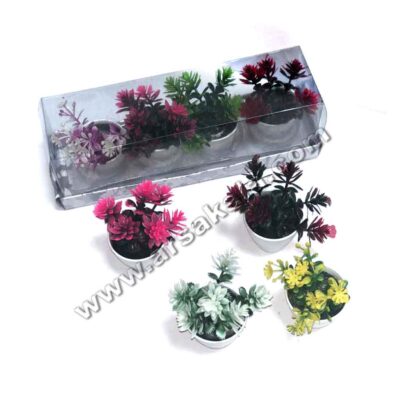 گل مینیاتوری