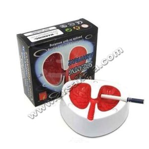 زیرسیگاری هوشمند صوتی