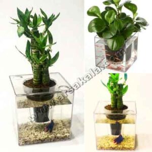 گلدان آکواریم بزرگ 7Green
