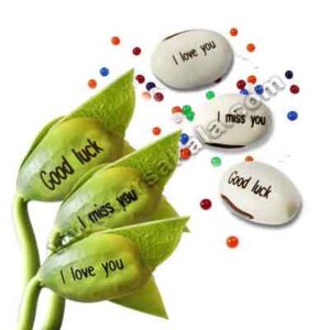 پکیج 15 عددی لوبیای سحرآمیز