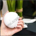 فرچه شستشوی طرح حلزون
