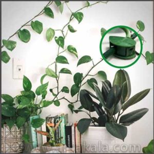 گیره نگهدارنده گل و گیاه
