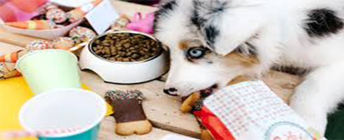 لوازم حیوانات خانگی