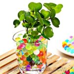 خاک ژله ای