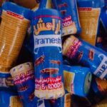 پودر حشره کش و سوسک کش Aramesh - Image 2